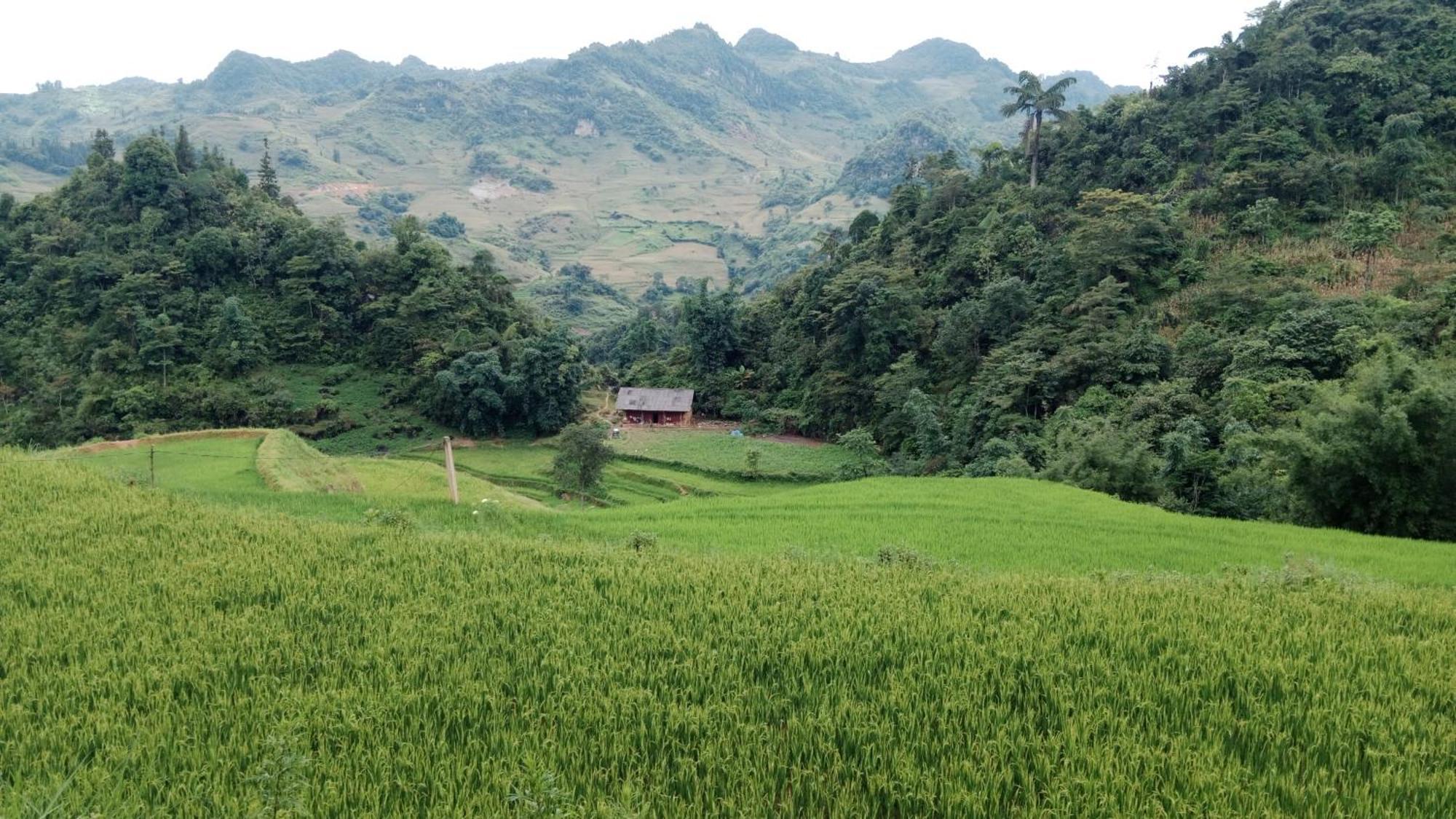 Higland Homestay Bac Ha Экстерьер фото