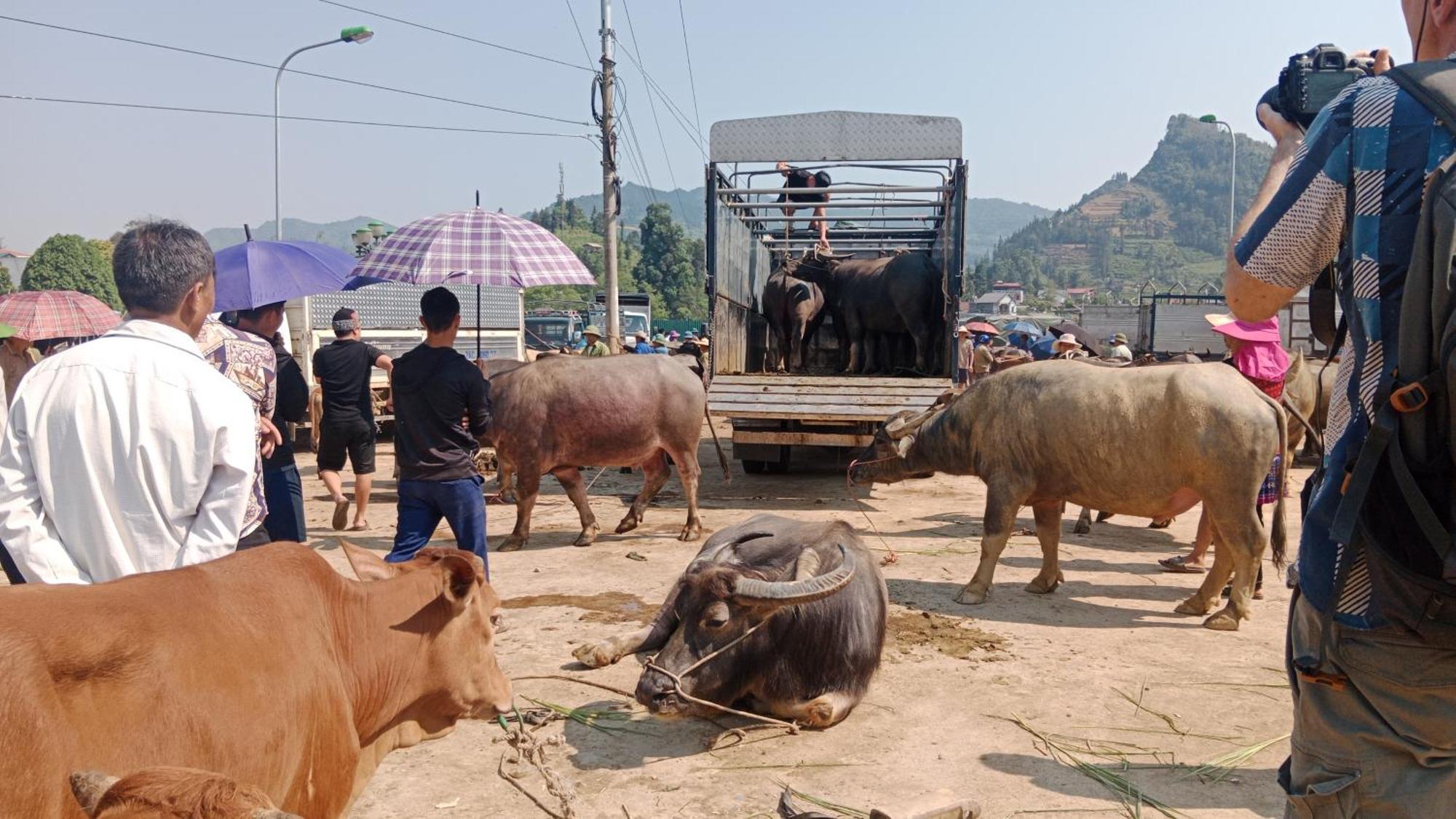 Higland Homestay Bac Ha Экстерьер фото